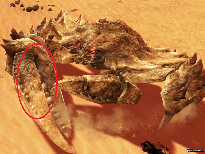 沙漠巨蟹破壞部位圖解