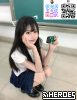 line667v