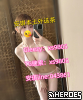 台灣 氣 質 女 孩｜輕 鬆 相 遇 T e l e g r a m：x s 9 8 0 5