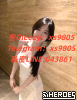 #台北 北車 約炮密 Gleezy賬號xs9805搜 索賴：043861｛TG：xs9805